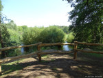 Dinkel in het Lutterzand